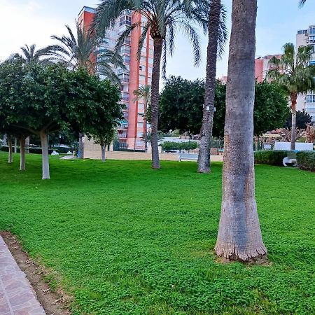 Piso Calleja Benidorm Dış mekan fotoğraf