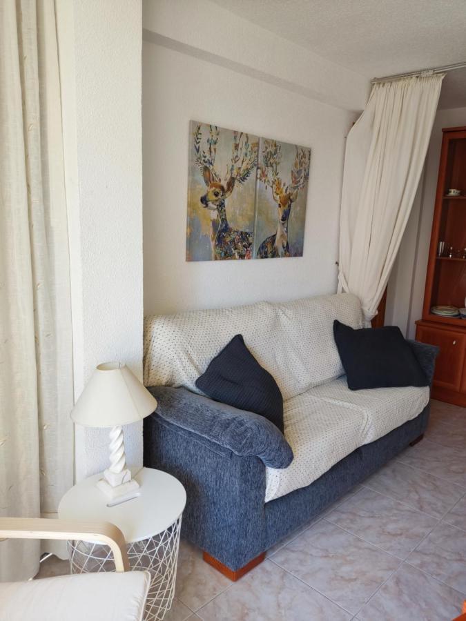 Piso Calleja Benidorm Dış mekan fotoğraf